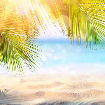 palm leaves over a sandy beach with sun shining and blue water in the distance
