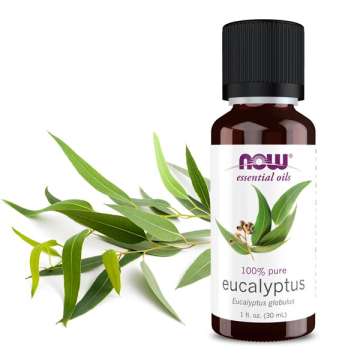 NOW Solutions Eucalyptus Oil with Eucalyptus leaves behind the bottle