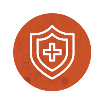 Medical Shield Icon