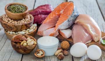 group of foods that represent protein, such as meats, fish, eggs, nuts, seeds, and beans.