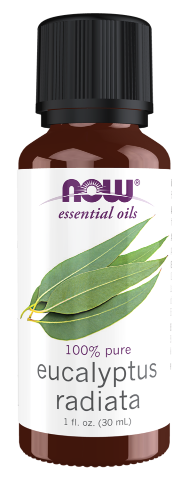 Eucalyptus Radiata Oil - 1 fl. oz. Bottle Front