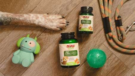 dog paw, ball, toy and leash with NOW Pets GI Support and Pet Allergy Products