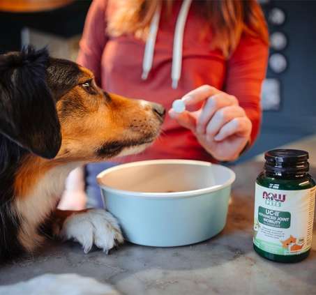 Brown and black dog being given a NOW Pets Omega-3 Supplement pill