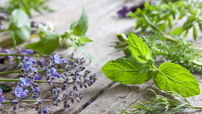 lavender flowers and mint leaves layed out on a counter top