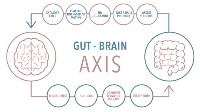 Gut-Brain Axis. Arrow from Brain to Intestines with bubbles reading Mindfulness, Self Care, Cognitive Behavior Therapy, Breathwork. Arrow from Intestines to Brain bubbles reading Assess your diet, Take a daily probiotic, Try L-Glutamine, Practice Intermittent Fasting, and Eat more fiber. 