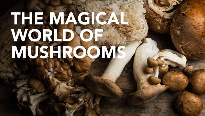 The Magical World of Mushrooms webinar with various mushrooms