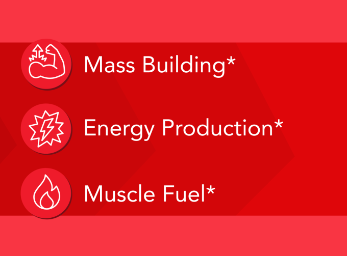 Mass Building*, Energy Production*, Muscle Fuel*