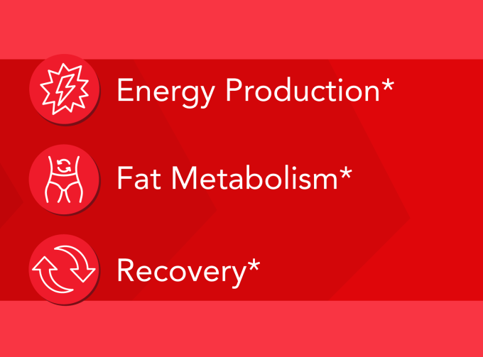 Energy Production*, Fat Metabolism*, Recovery*