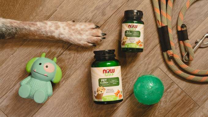 dog paw, ball, toy and leash with NOW Pets GI Support and Pet Allergy Products