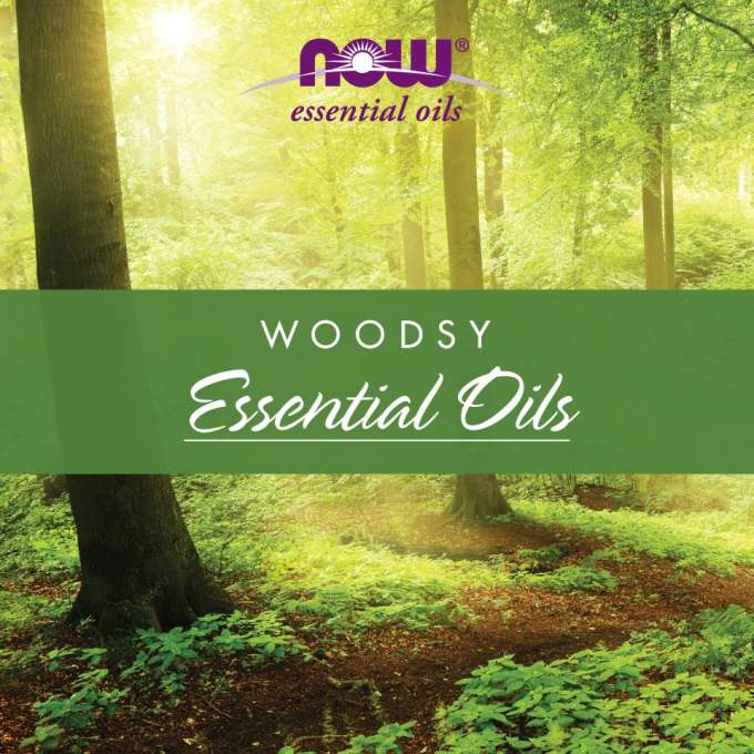 WOODSY Essential Oils Sunlit path through the woods