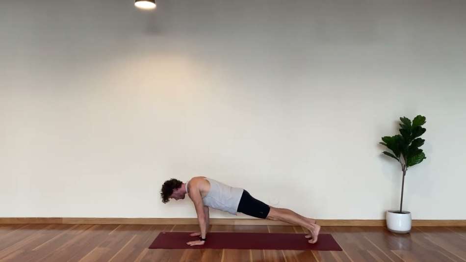 male presenting person doing a plank on the floor in room next to single plant