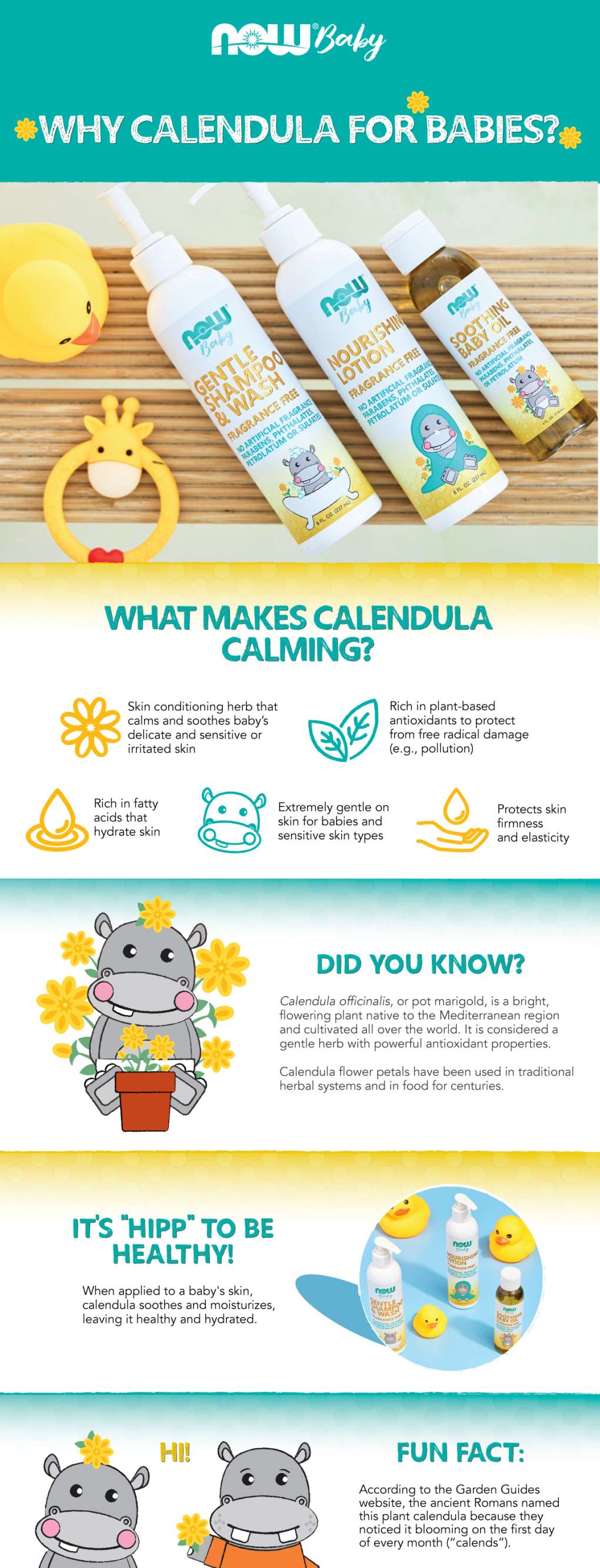 yellow and teal infographic explaining the benefits of calendula for babies