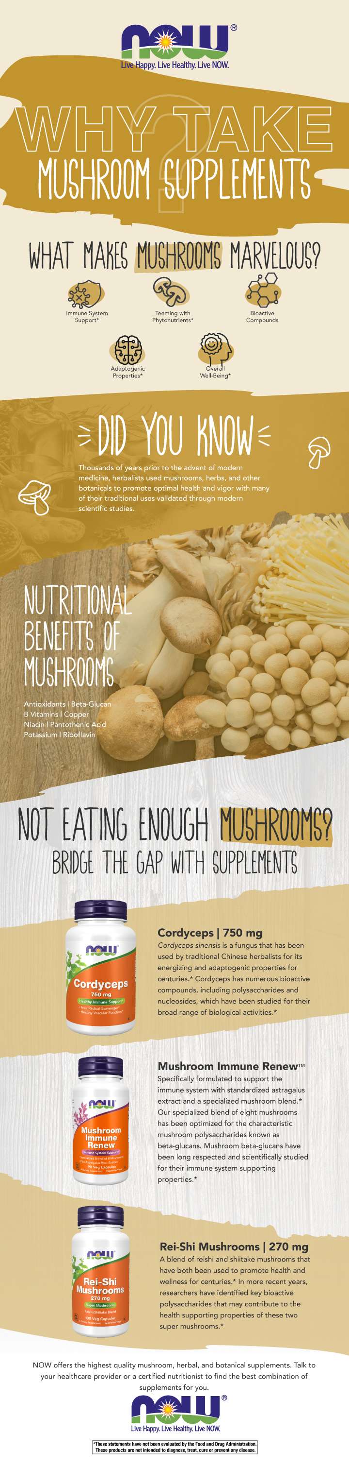 brown infographic explaining the benefits of mushroom supplements