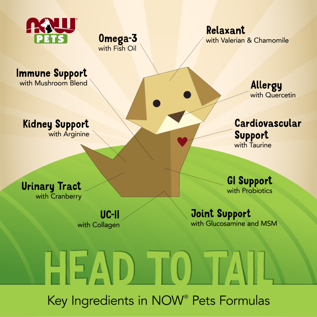 NOW Pets Head to Tail Chart