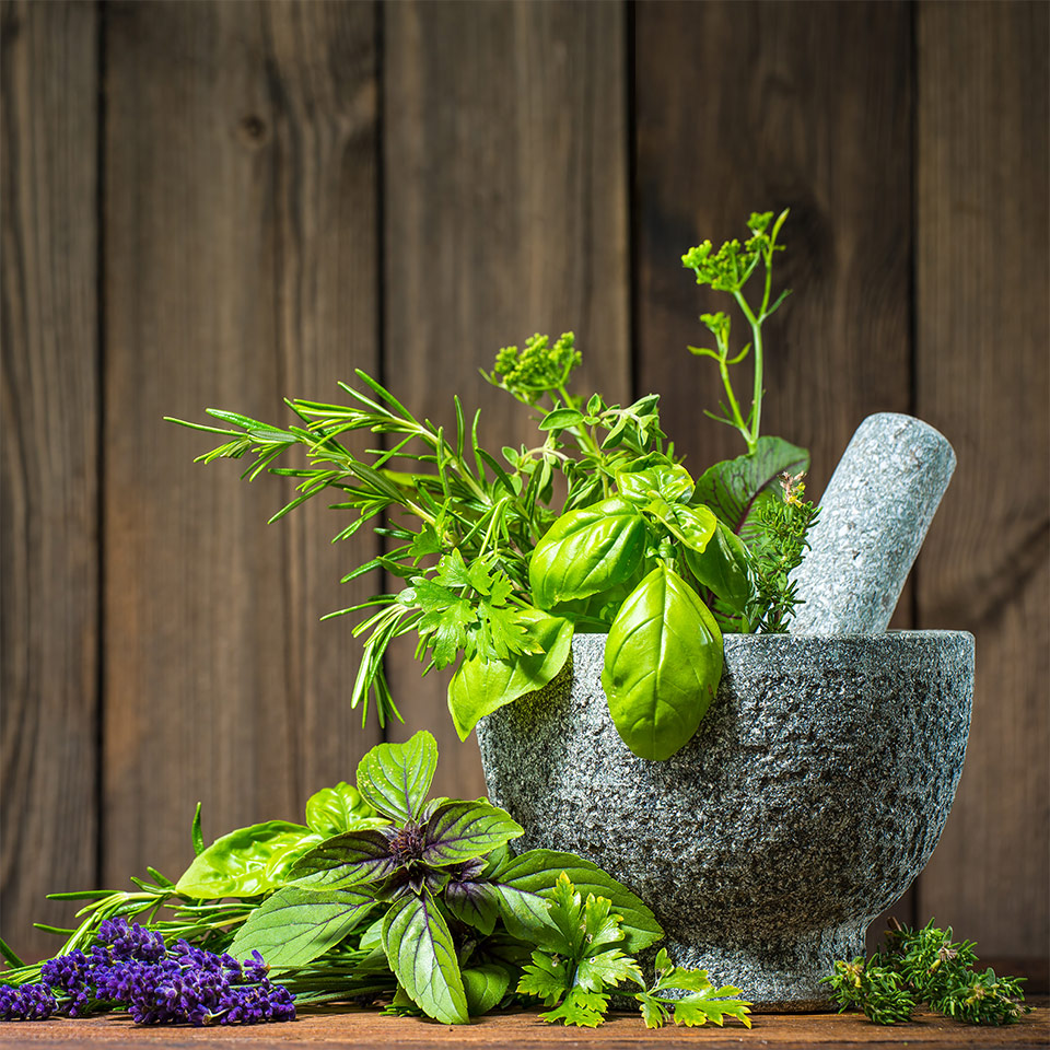 Food Grade Essential Oil FAQs | NOW Foods